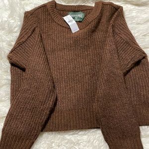 Brown American Eagle Sweater